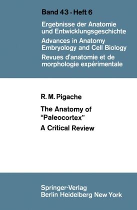 The Anatomy of "Paleocortex"