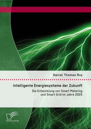 Intelligente Energiesysteme der Zukunft: Die Entwicklung von Smart Metering und Smart Grid im Jahre