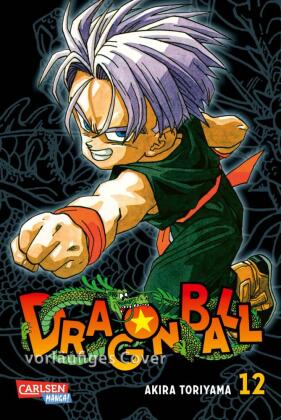 Dragon Ball Massiv. Bd.12
