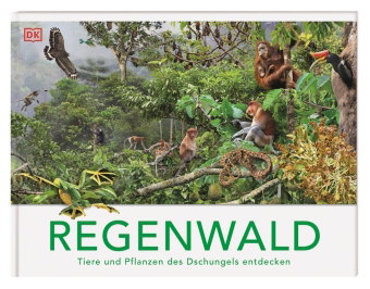 Regenwald
