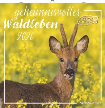 Alpha Edition - Geheimnisvolles Waldleben Kalender 2026 - Wandkalender 30x30 cm - Für Naturliebhaber