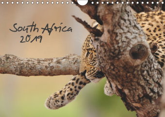 South Africa / UK-Version (Wall Calendar 2019 DIN A4 Landscape)