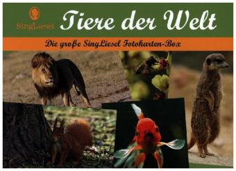 Tiere der Welt - Fotokarten für Senioren
