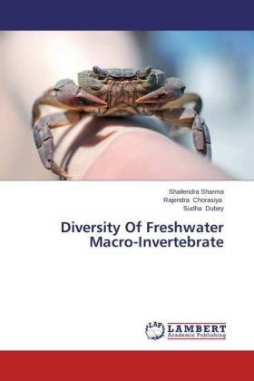 Diversity Of Freshwater Macro-Invertebrate