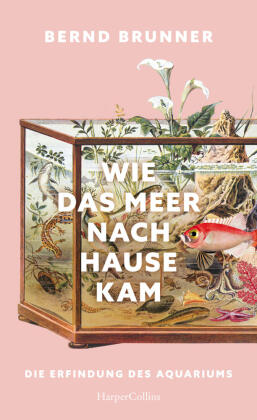 Wie das Meer nach Hause kam. Die Erfindung des Aquariums
