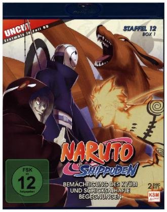 Naruto Shippuden - Bemächtigung des Kybi und schicksalhafte Begegnungen. Staffel.12, 2 Blu-rays