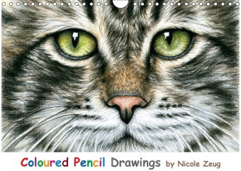 Coloured Pencil Drawings (Wandkalender 2018 DIN A4 quer)