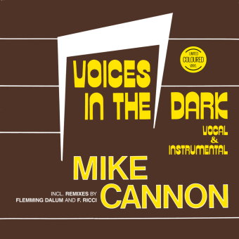 Voices In The Dark, 1 Schallplatte (Maxi Vinyl)