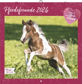 Alpha Edition - Pferdefreunde Kalender 2026 - Broschürenkalender 30×30 cm mit Pferde- & Ponyfotos vo