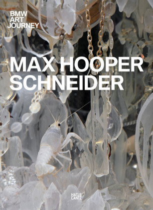 Max Hooper Schneider's Art Journey