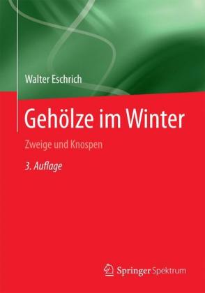 Gehölze im Winter