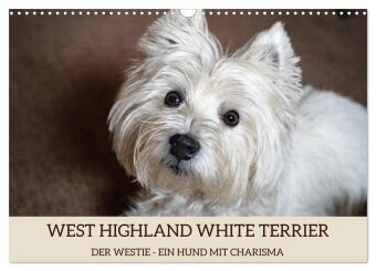WEST HIGHLAND WHITE TERRIER - DER WESTIE - EIN HUND MIT CHARISMA (Wandkalender 2024 DIN A3 quer), CA
