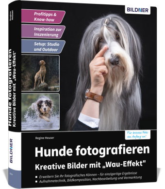 Hunde fotografieren - Kreative Bilder mit "Wau-Effekt"