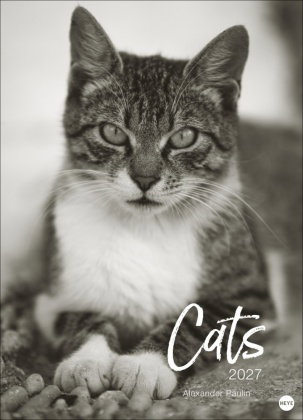 Cats Edition Kalender 2027