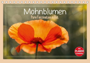 Mohnblumen - Pure Faszination in Rot (Tischkalender 2018 DIN A5 quer)