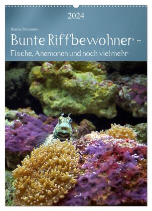 Bunte Riffbewohner - Fische, Anemonen und noch viel mehr (Wandkalender 2024 DIN A2 hoch), CALVENDO M