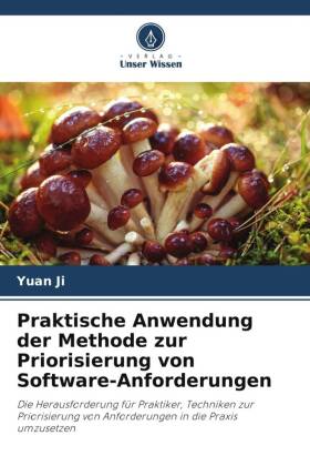 Praktische Anwendung der Methode zur Priorisierung von Software-Anforderungen