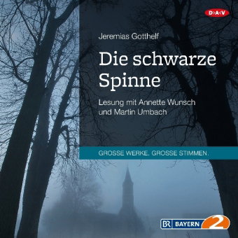 Die schwarze Spinne, 1 Audio-CD, 1 MP3