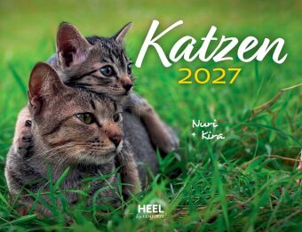 Katzen 2027 Eintragkalender