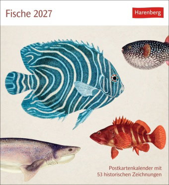 Fische Postkartenkalender 2027 - Postkartenkalender mit 53 historischen Zeichnungen