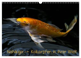 Nishikigoi - Koikarpfen in ihrer Welt (Wandkalender 2024 DIN A3 quer), CALVENDO Monatskalender