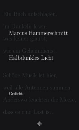 Halbdunkles Licht