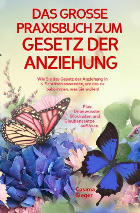 DAS GROSSE PRAXISBUCH ZUM GESETZ DER ANZIEHUNG! Wie Sie das Gesetz der Anziehung in 5 Schritten anwe