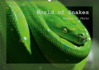 World of Snakes - UK Version (Wall Calendar perpetual DIN A2 Landscape)
