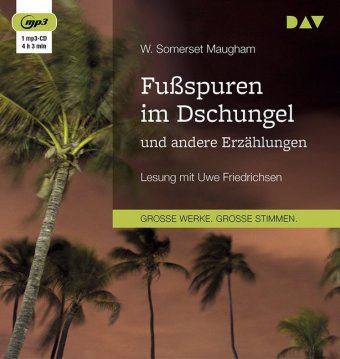 Fußspuren im Dschungel und andere Erzählungen, 1 Audio-CD, 1 MP3