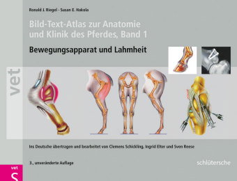 Bild-Text-Atlas zur Anatomie und Klinik des Pferdes. Bd.1