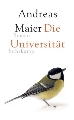Die Universität - Roman (Ortsumgehung 6)