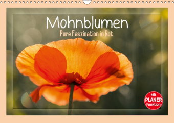 Mohnblumen - Pure Faszination in Rot (Wandkalender 2019 DIN A3 quer)