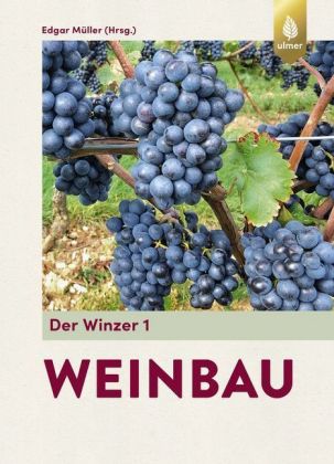 Weinbau