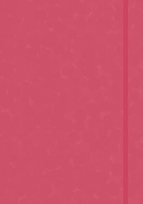 Anaconda Notizbuch/Notebook/Blank Book, punktiert, textiles Gummiband, pink, Hardcover (A5), 120g/m²