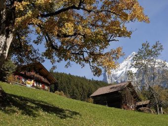 Grindelwald - 500 Teile (Puzzle)