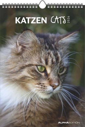 Alpha Edition - Katzen Kalender 2026 - Wandkalender 23,7×34 cm mit Katzenmotiven & Platz für Notizen