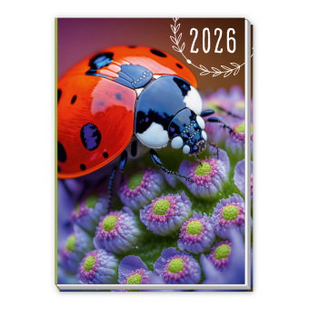 Trötsch Taschenkalender A7 Marienkäfer 2026