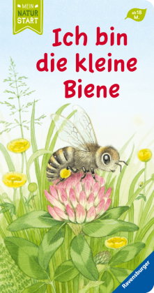Ich bin die kleine Biene