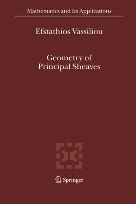 Geometry of Principal Sheaves