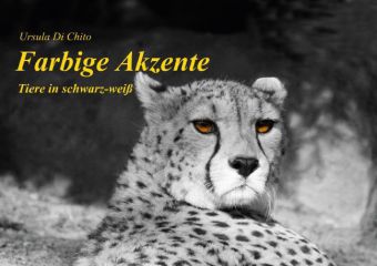 Farbige Akzente - Tiere in schwarz-weiß (Posterbuch DIN A2 quer)
