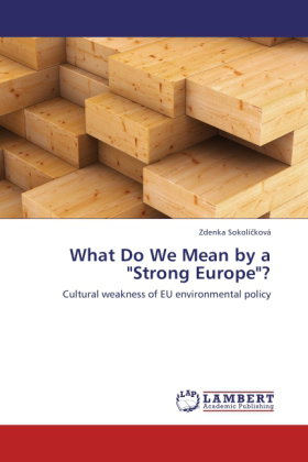 What Do We Mean by a "Strong Europe"?