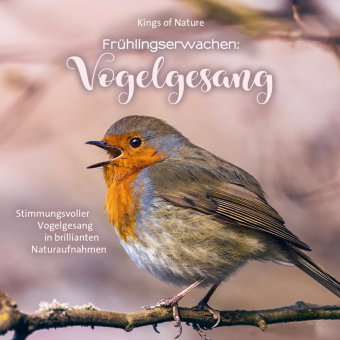 Frühlingserwachen: Vogelgesang, 1 Audio-CD