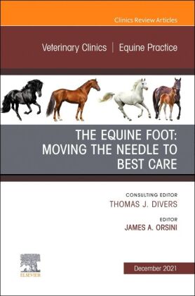 The Equine Foot: Moving the Needle to Best Care, An Issue of Veterinary Clinics of North America: Eq