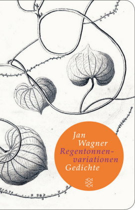 Regentonnenvariationen