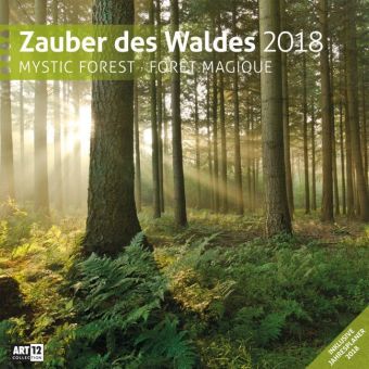 Zauber des Waldes 30x30 2018