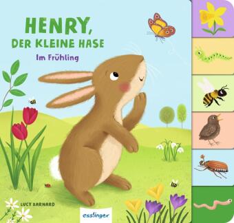Mein erstes Jahreszeitenbuch: Henry, der kleine Hase