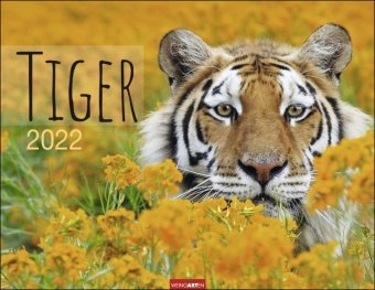 Tiger 2022