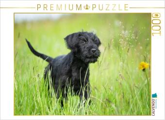 CALVENDO Puzzle Ein Motiv aus dem Kalender Riesenschnauzer... charakterstarke Hunde | 1000 Teile Leg