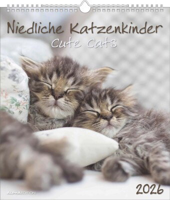 Alpha Edition - Niedliche Katzenkinder 2026 - Wandkalender 30×34 cm mit 12 Katzenbaby-Motiven & Mona