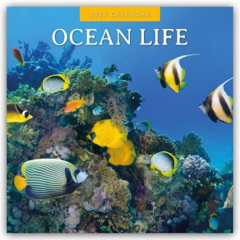 Ocean Life - Leben im Ozean 2027 - 16-Monatskalender